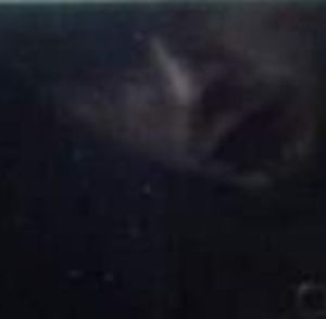 Meet your Posher, Tyrelle